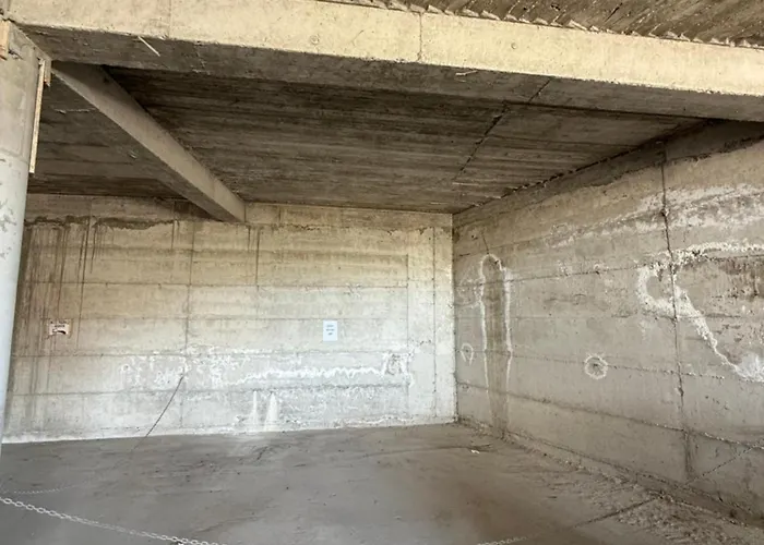 Loui Vollga ドゥラス