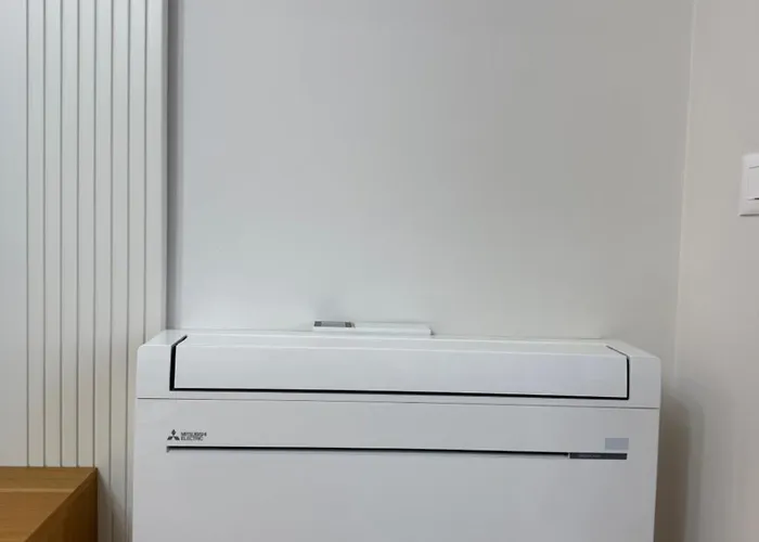 Loui Vollga ドゥラス